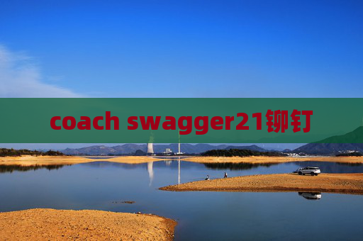 coach swagger21铆钉